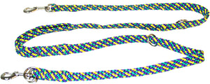 5/8" Multi Purpose Leash Mardi Gras