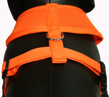 Load image into Gallery viewer, Soft Mesh Pet Harness-Orange