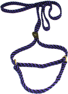 5/8" Flat Braid Martingale Style Lead Purple/Black Spiral