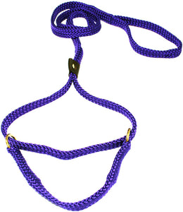 5/8" Flat Braid Martingale Style Lead Purple