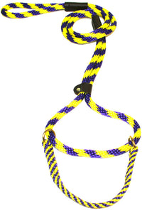 1/2" Solid Braid Martingale Style Lead Purple/Yellow Spiral