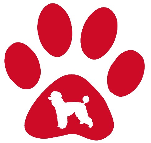 Paw Poodle Dog Decal