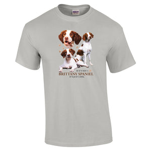 Brittany Spaniel Shirt - "Just A Dog"