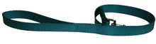Load image into Gallery viewer, Webbing Dog Leash Teal