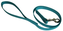 Load image into Gallery viewer, Webbing Dog Leash Teal