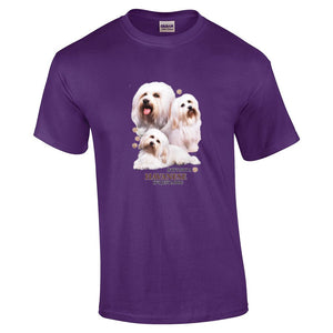 Havanese Shirt - "Just A Dog"