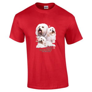 Havanese Shirt - "Just A Dog"