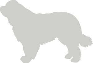 Newfoundland Dog Decal