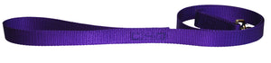 Webbing Dog Leash Purple